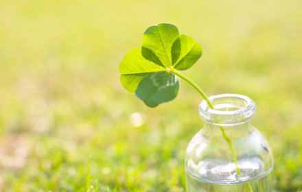 【4月29日開催】山菜講座開催のお知らせ